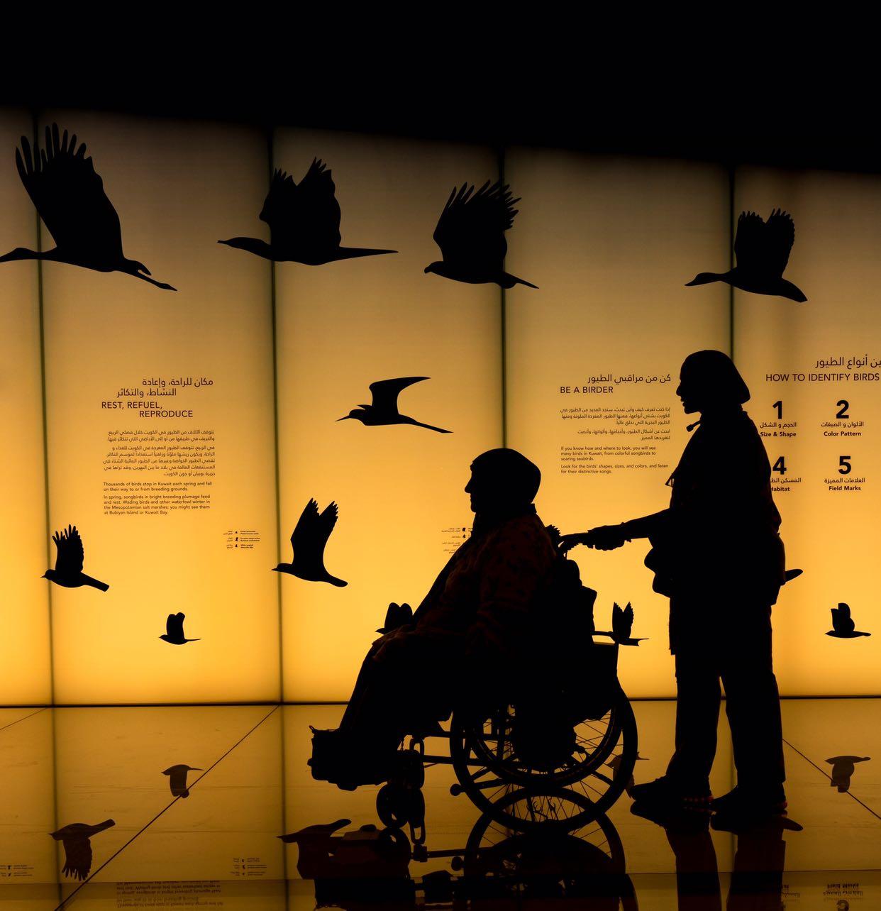 Silhouette of a member using a wheelchair exploring a museum gallery with a volunteer.